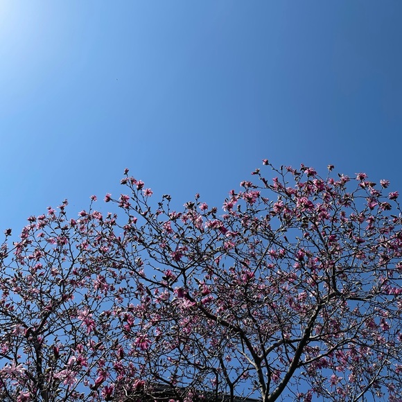 Meet your Posher, Mikayla - Picture 1 of 1